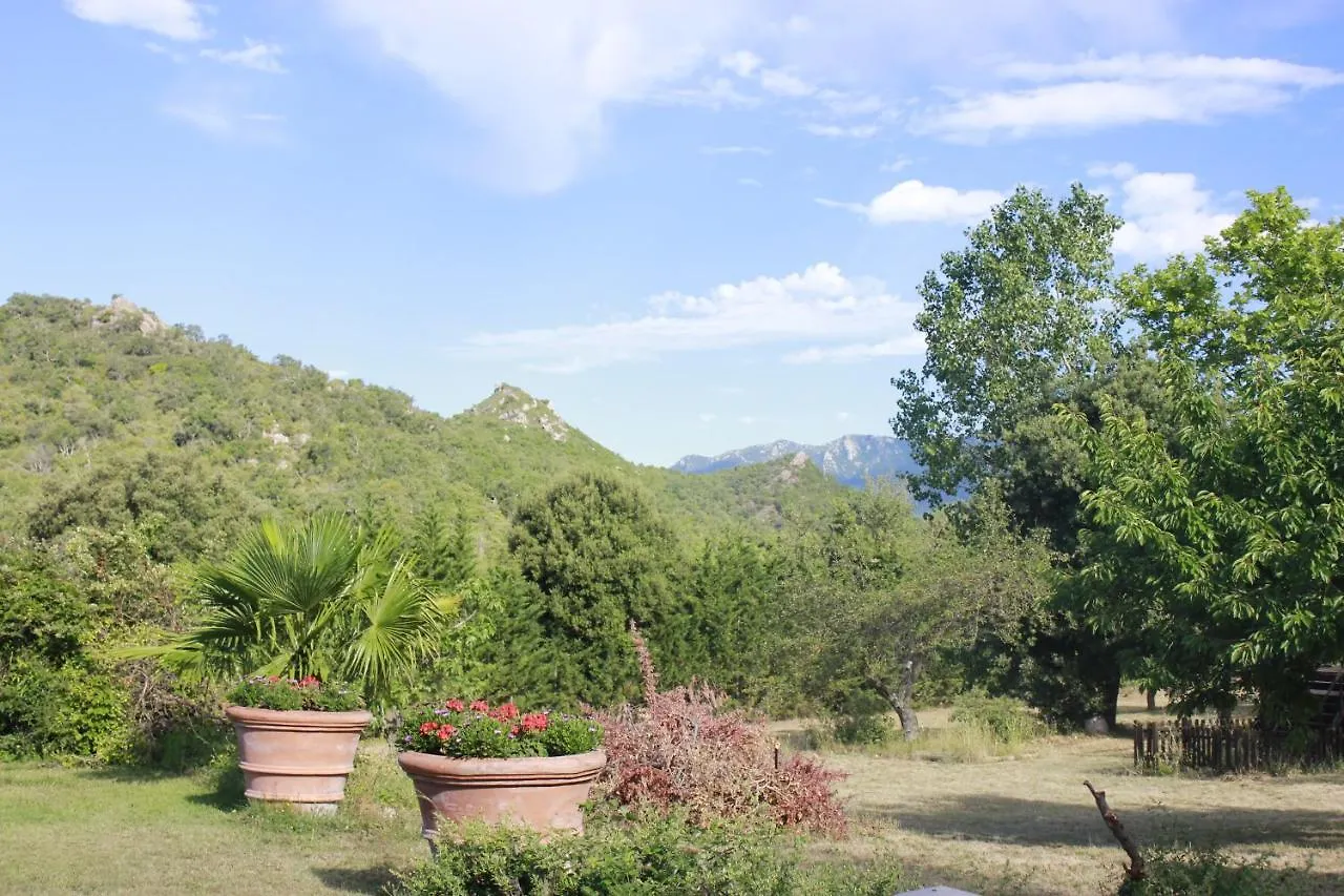 Apartamento Masia Mimosa Darnius
