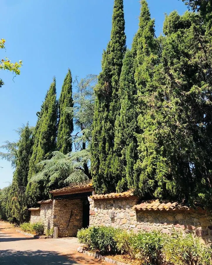 Masia Mimosa Darnius